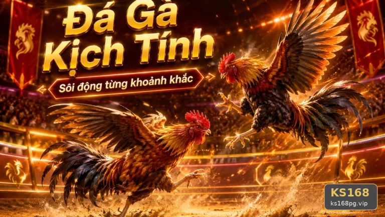 Đá Gà KS168 Tại ks168pg.vip: Hướng Dẫn Người Mới Kiểm Tra Giao Diện, Quản Lý Phiên Chơi Và Quyền Lợi Thành Viên
