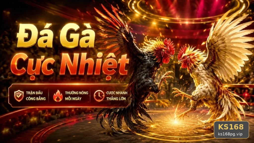 Đá Gà KS168: Nhận Diện Lỗi Phổ Biến Khi Quản Lý Phiên Chơi Và Bảo Vệ Quyền Lợi Thành Viên Tại ks168pg.vip